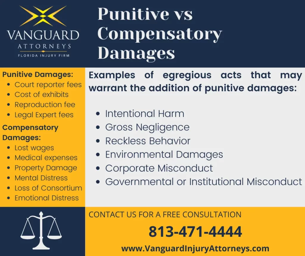 Punitive vs Compensatory Damages infographic